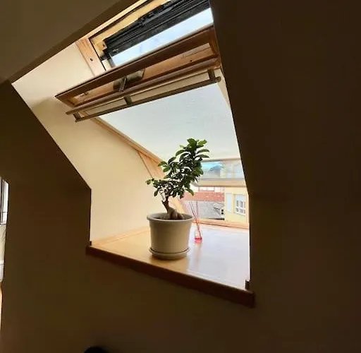 Banksy Apartment Reinosa